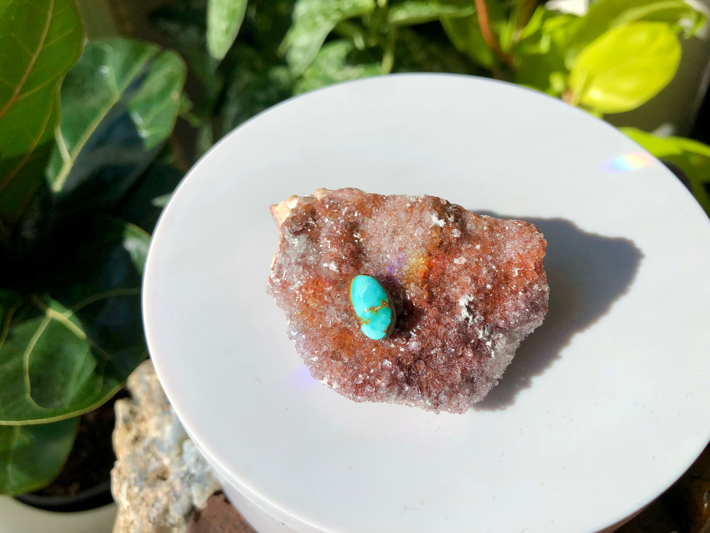 Natural Turquoise Cabochon - Silver Fox Mine