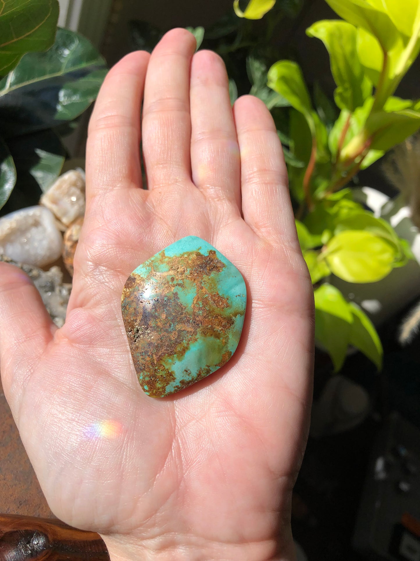 Natural Turquoise Cabochon - Silver Fox Mine