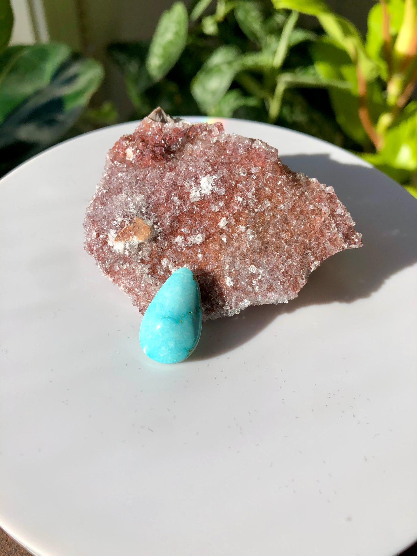 Natural Turquoise Cabochon - Silver Fox Mine