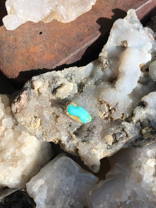 Natural Turquoise Cabochon - Silver Fox Mine