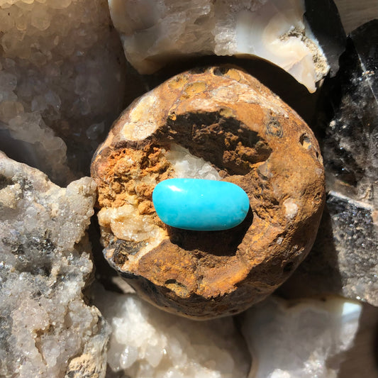 Natural Turquoise Cabochon - Silver Fox Mine