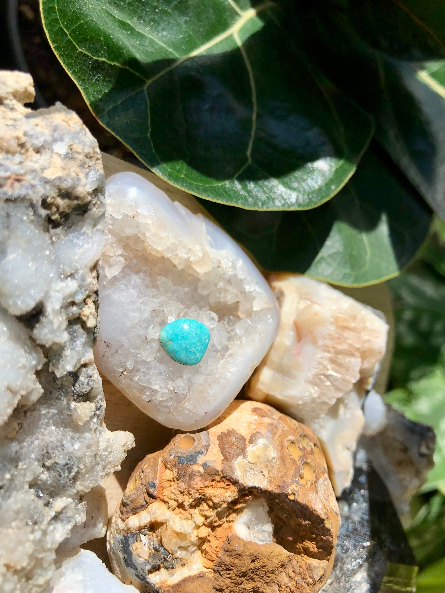 Natural Turquoise Cabochon - Silver Fox Mine