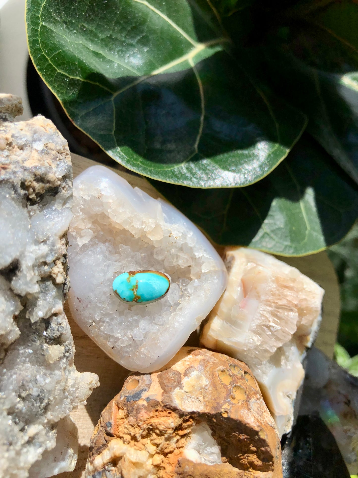 Natural Turquoise Cabochon - Silver Fox Mine