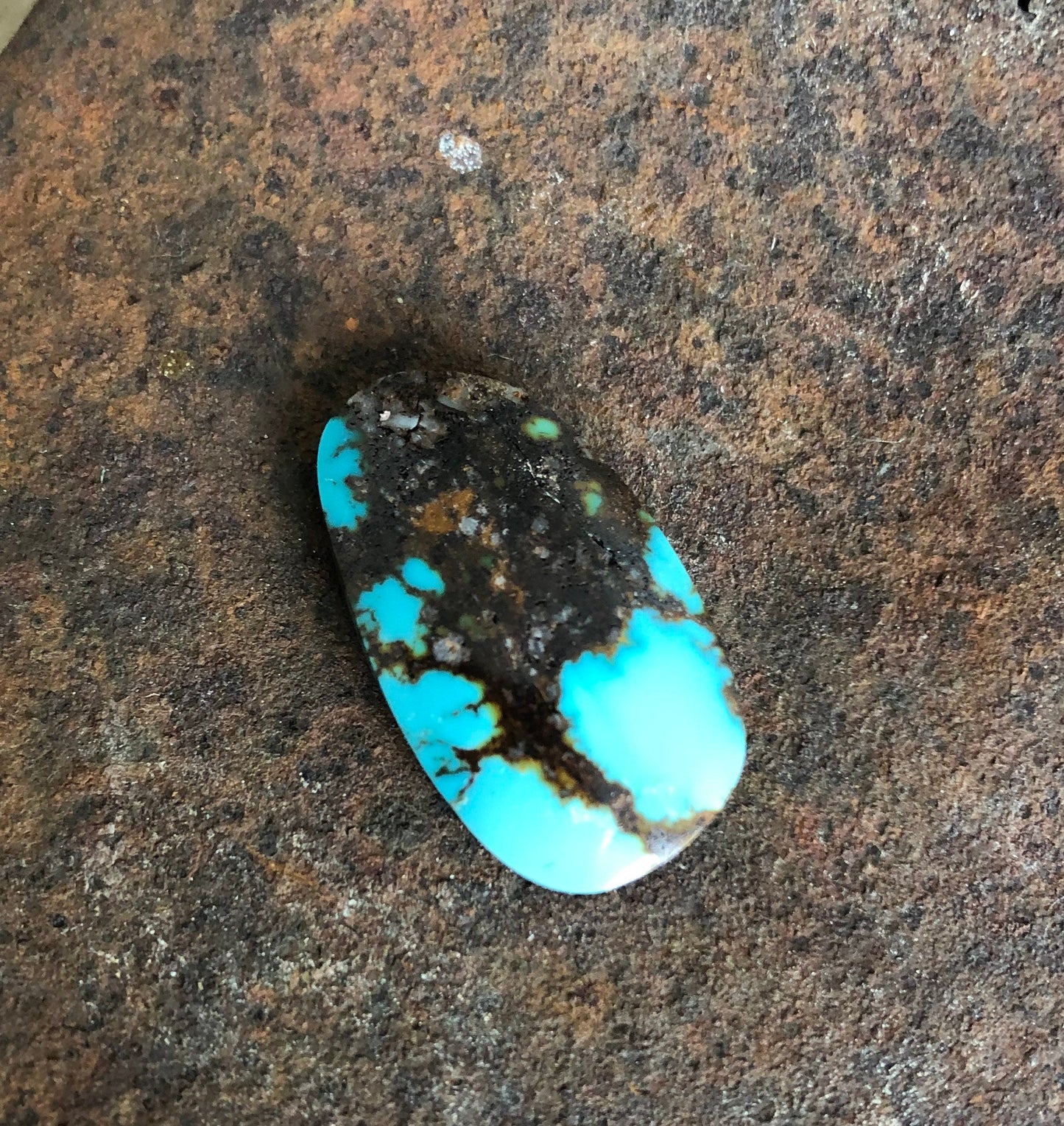 Silver Fox Nevada - Natural Turquoise Cabochon