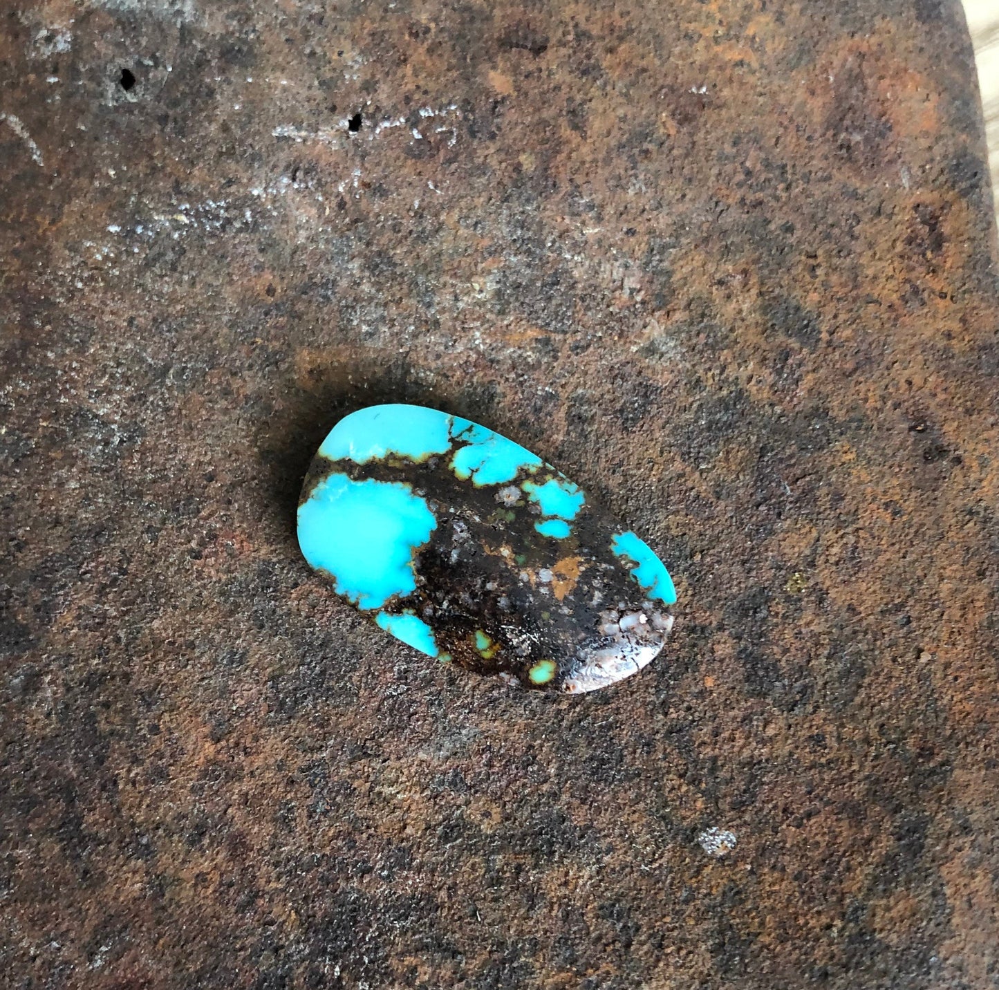 Silver Fox Nevada - Natural Turquoise Cabochon