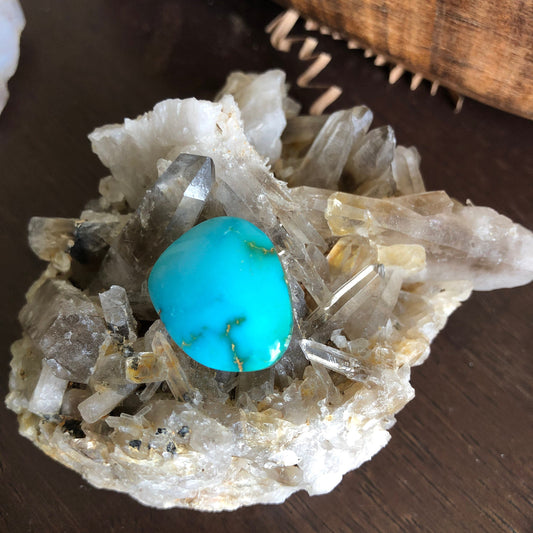 Natural Turquoise Cabochon -Silver Fox Mine