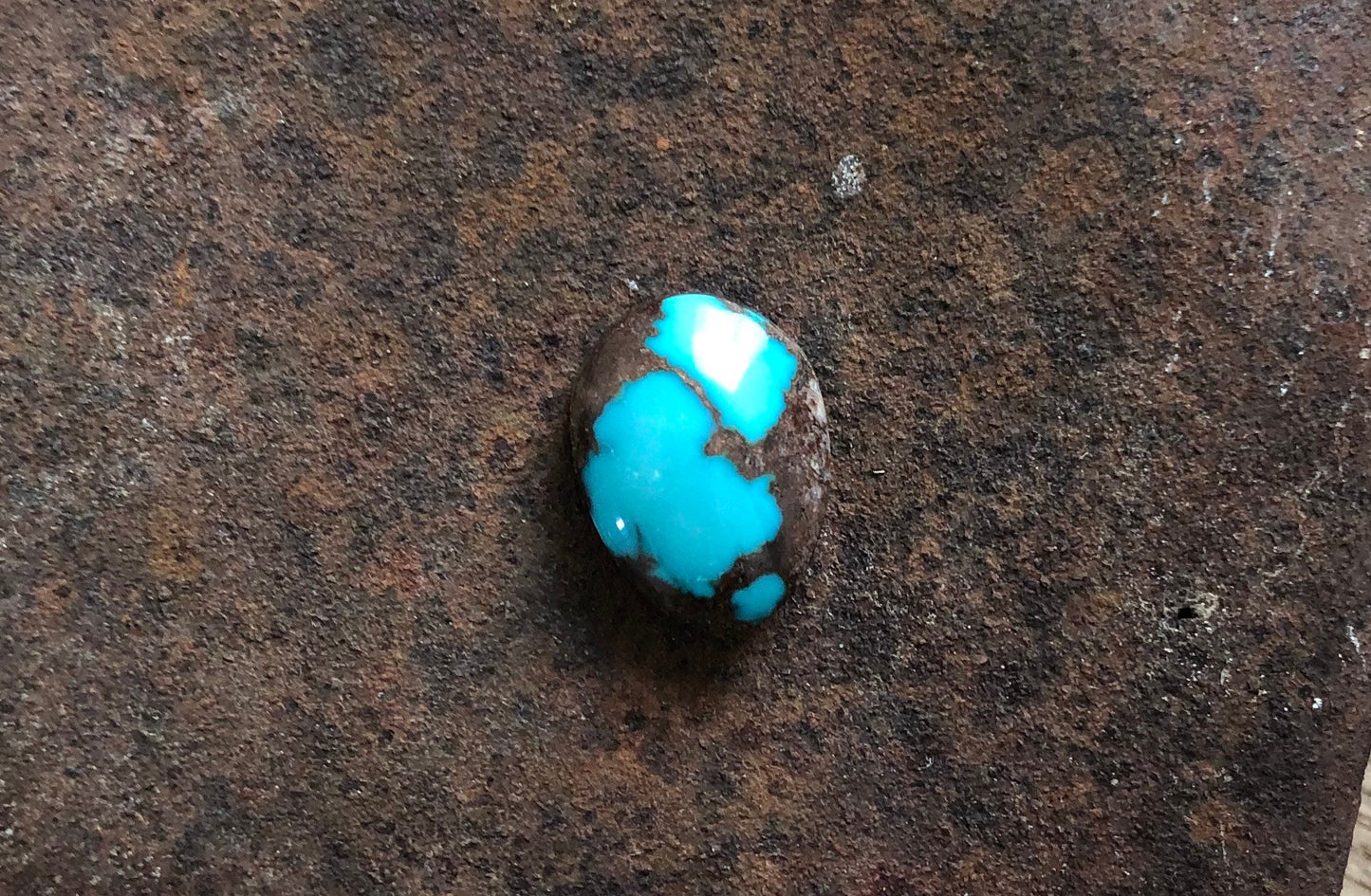 Silver Fox Nevada - Natural Turquoise Cabochon