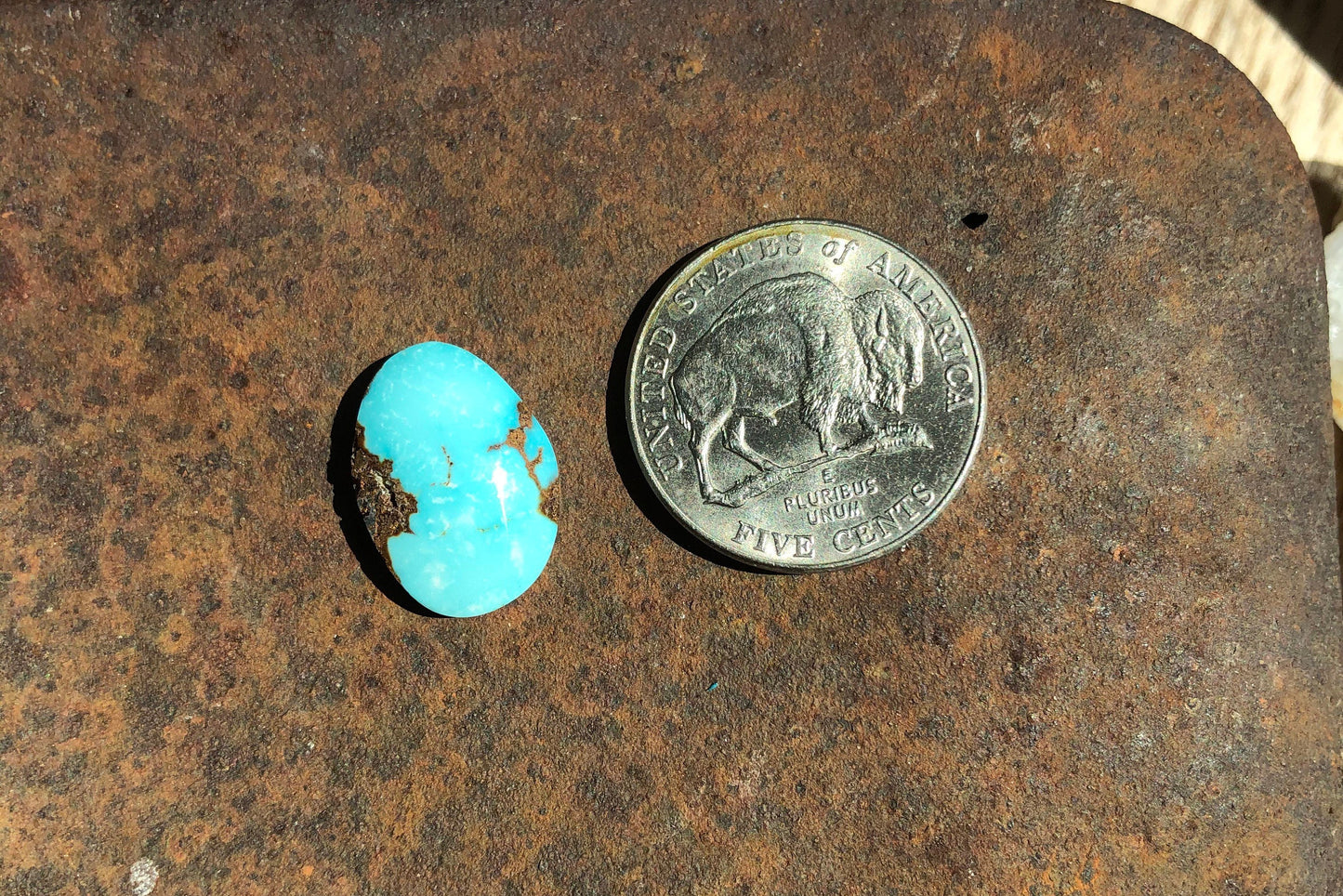 Silver Fox Nevada - Natural Turquoise Cabochon