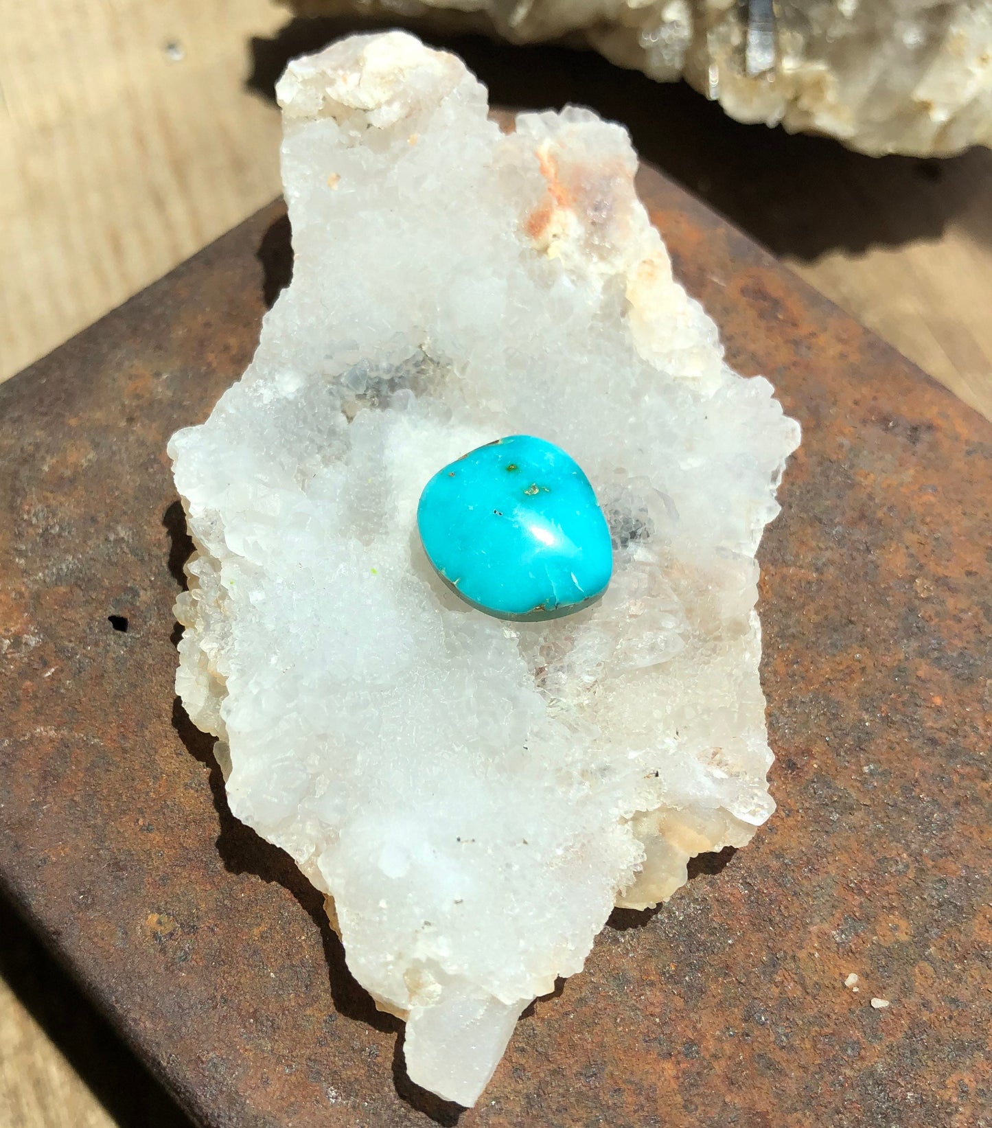 Silver Fox Nevada - Natural Turquoise Cabochon