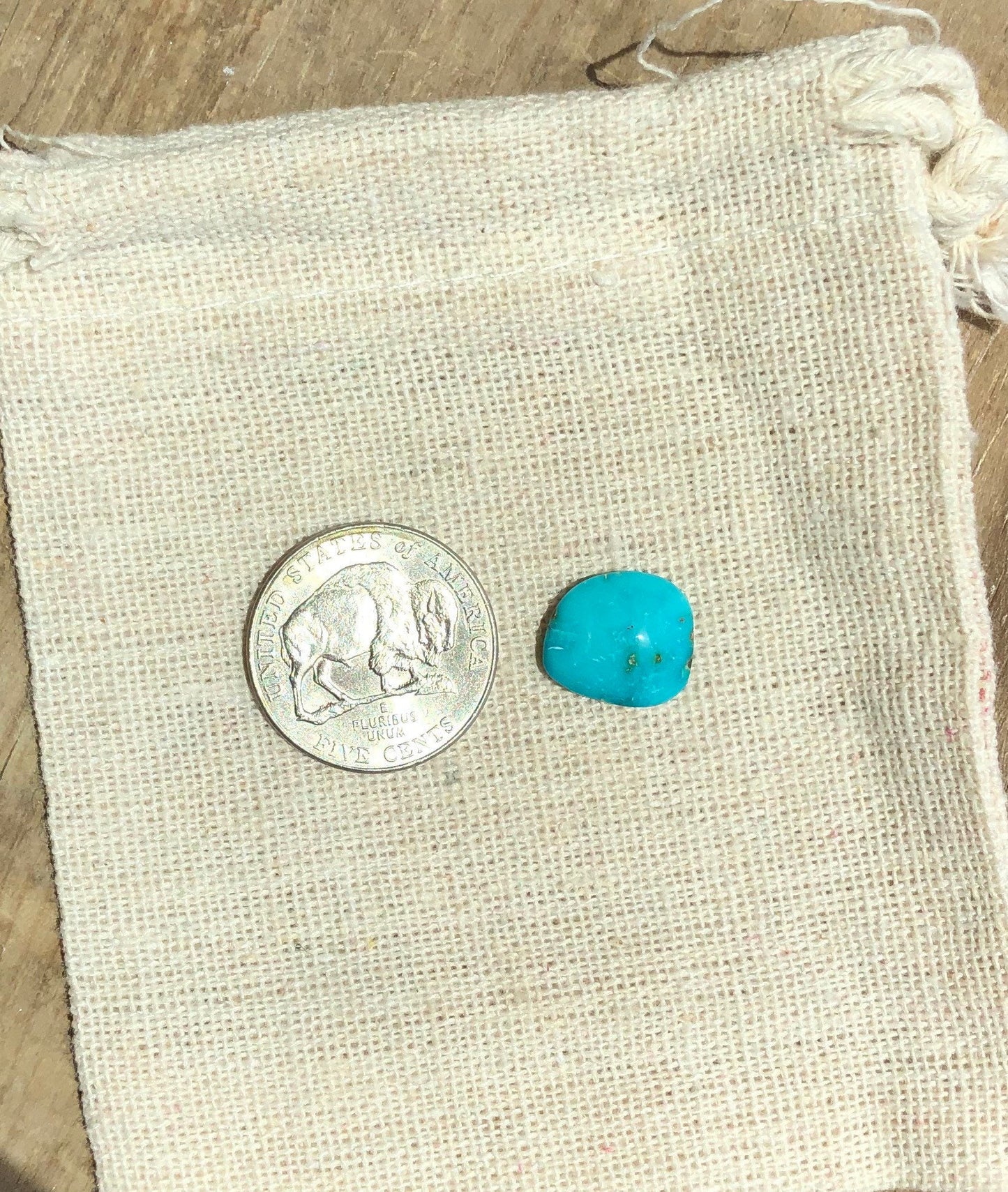 Silver Fox Nevada - Natural Turquoise Cabochon